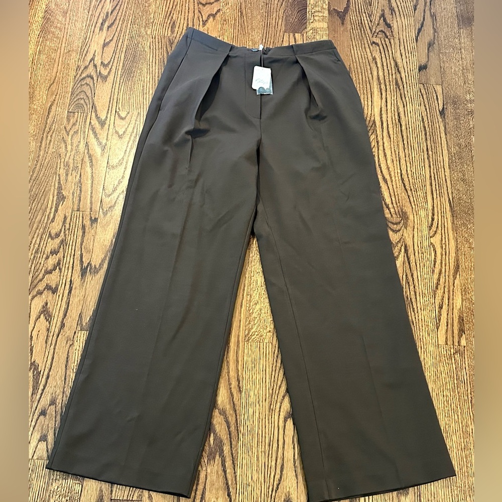 NWT Free People Trousers